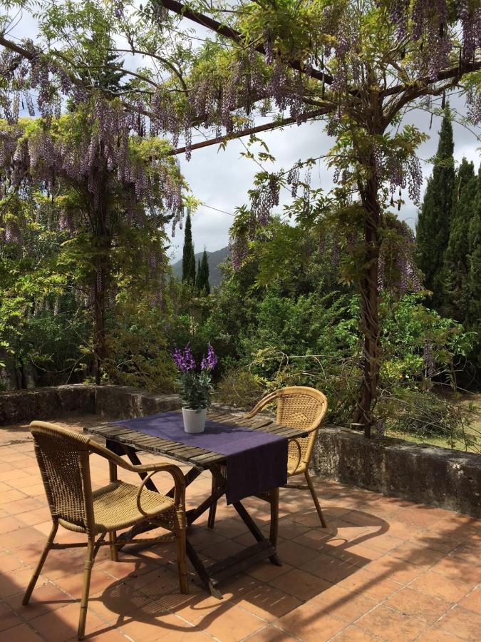 Finca Can Trui Teresa Pollença Buitenkant foto